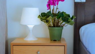 WIKISUITE LABARO - Foto 2