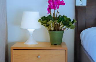 WIKISUITE LABARO - Foto 2