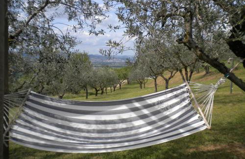 Il Poggio Delle Ginestre - Foto 65
