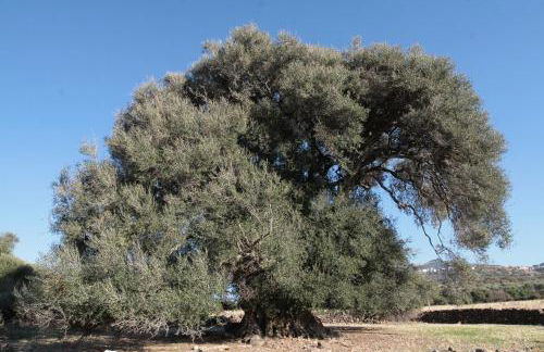 Monolocale Il Nido - Foto 38