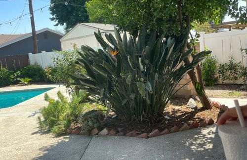 4BR Home near Universal - Private Pool, BBQ, Free Parking - Foto 62