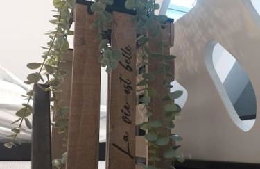 Gîte Le Mouton Blanc***** Héas Gavarnie-Gèdre - Foto 37