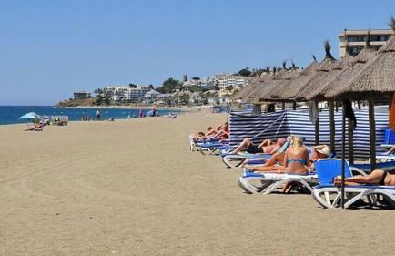 Golden Estudio - Photo 13