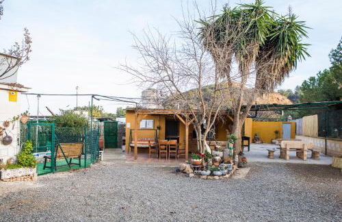 Almotaje, numero 3 - Foto 26