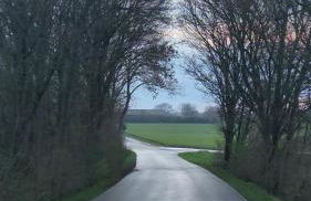 Ferienhaus an der Allee - Foto 39