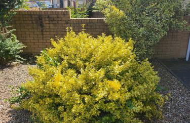 Spacious, 3 double bedroomed, free parking, 9 mins Elland Rd, nr Leeds City Centre - Foto 11