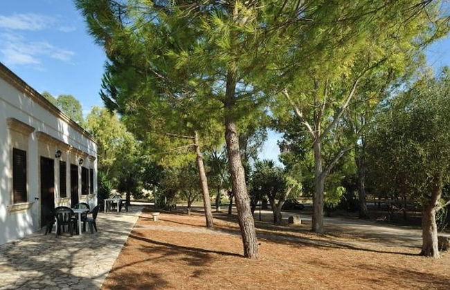 Farm Near the Beautiful Ionian Sea, in the Beautiful Salento - Foto 23