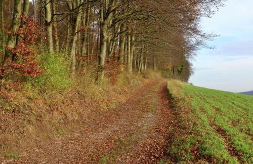 Ferienwohnung in Lowensen mit Eigener Terrasse - Foto 53