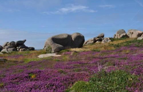 Les Portes de Tréguier - Gites de charme - Foto 16