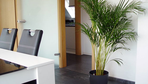 Servicio de comidas en la habitación