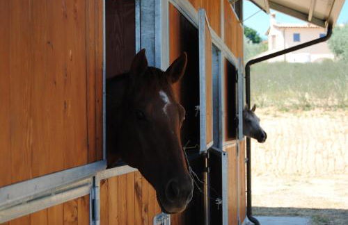 Sorelle Biologiche - Photo 68