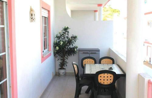 Amarguinha - Foto 16