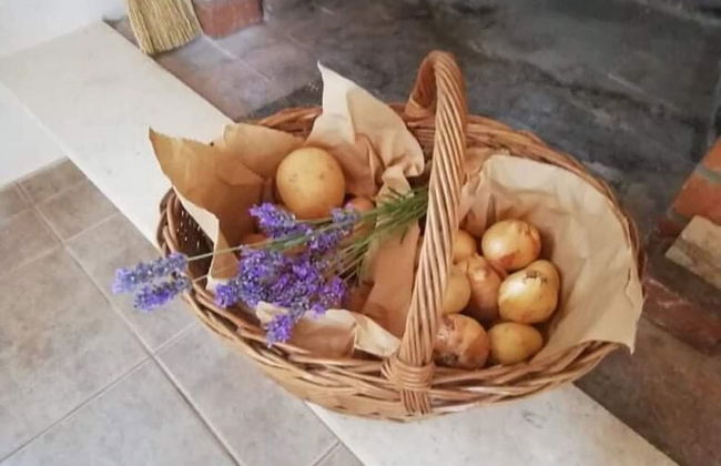 Robinson House Dubrova - Foto 40