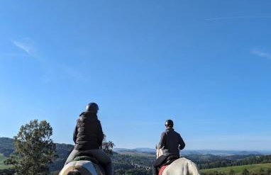 Ferienwohnung zum Sebnitzer Hirsch - Photo 13