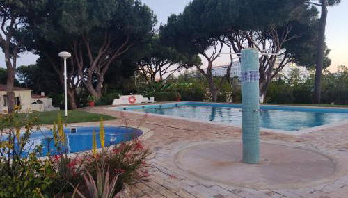 Vieira apartment 1 - Foto 5, Garden