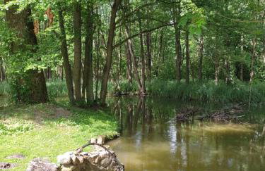 Gościniec Kotowina - Foto 10