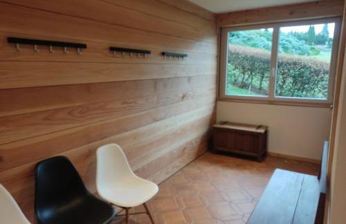 Hêtre pourpre - Foto 7