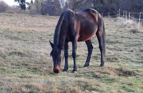 Dom Salamandra z panoramą gór - Foto 55