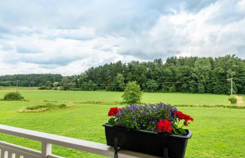 Ferienwohnungen Mayerhofer - Photo 15