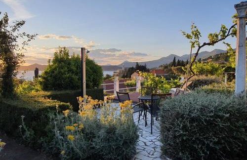 Family apartments Dominković - Photo 28