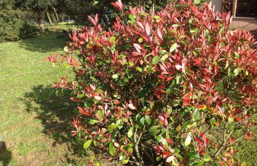 Casa Vacanze Valdicciola - Foto 35