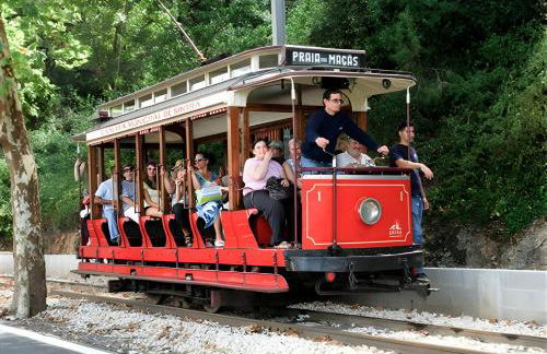Casa Mateus - Colares, Parque Natural Sintra Cascais - Foto 35