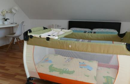 guest apartment niederalfingen - Foto 36