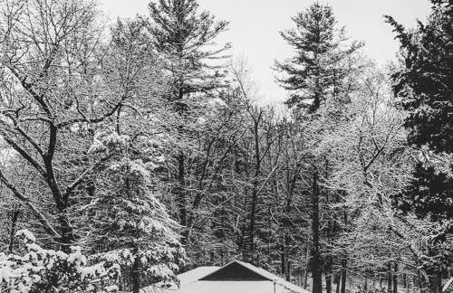 Peaceful Getaway Cottage on grounds of historic mid-century gem - Foto 22