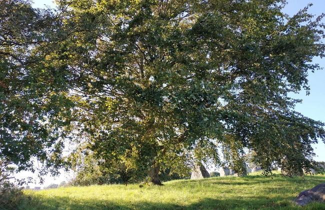 4 Person Holiday Home in Grevinge - Foto 19