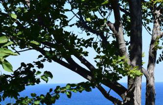 Isabel Artemis - Foto 55