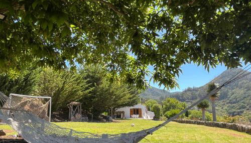 Finca el Roque - Foto 4, Garden, Garden view