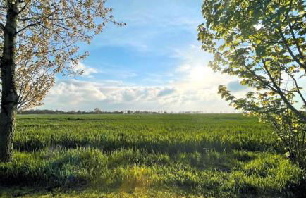 Wohnung 3 - b43246 - Foto 19