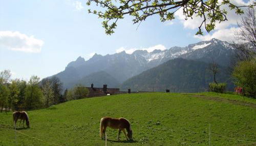 Bachbauernhof - Foto 3