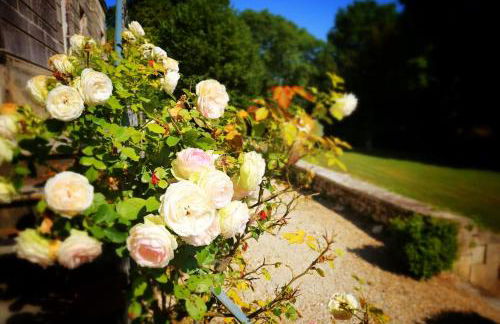 Château du Port Hublé - Foto 34