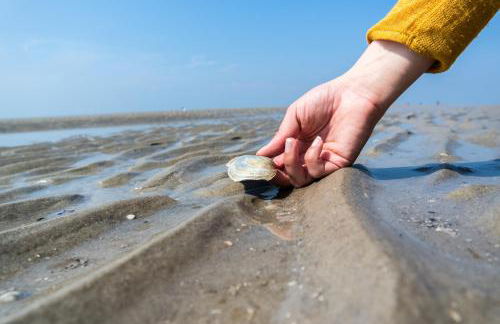 EBBEUNFLUT - Photo 49