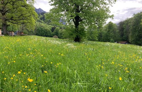 ciao-aschau Haus zur Burg Ap112 Burgblick - Foto 19