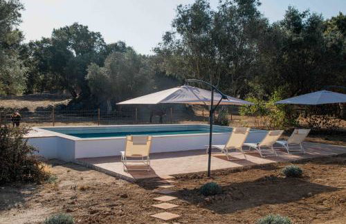 Casa da Azeitona e Bolota T2 - Monte do Serrado de Baixo - Foto 8