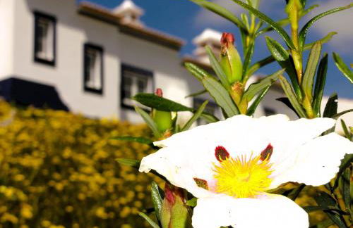 Monte do Alento - Castro da Cola - Foto 49