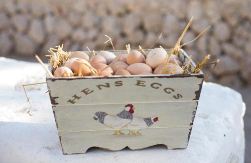 Agroturismo Llucmaçanes Gran - Foto 63