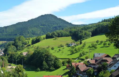 Ferienwohnung Schwarzwaldsteig - Foto 26