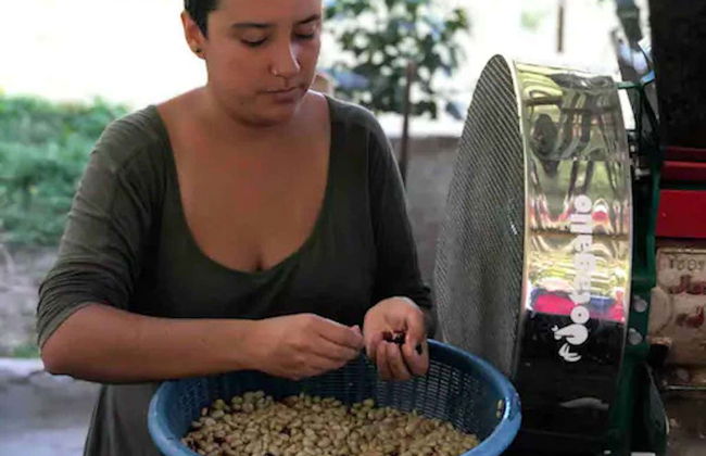 Bogotá Coffee Farm Trip - Photo 2