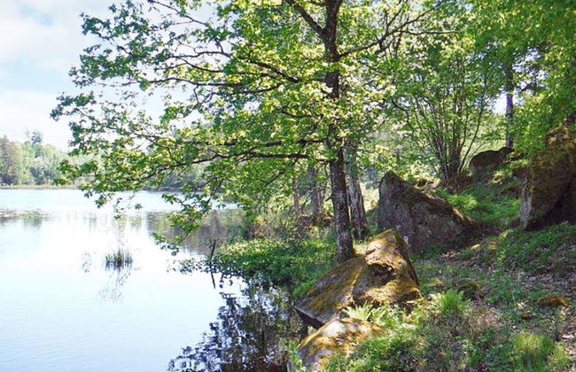 4 Person Holiday Home in Tving - Photo 14