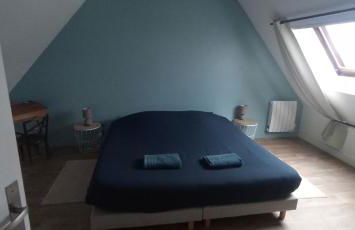 La petite chouette - Photo 22