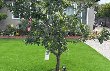 Adorable 2BR-2BA House with EV & Free Parking and Family Friendly in Los Angeles - Photo 57