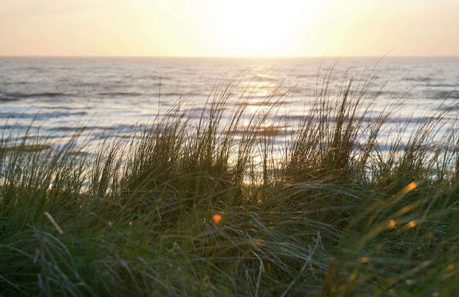 Rustic Bungalow in North Holland near Forest - Foto 34