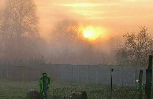 Agroturystyka Zaborski Sad - Foto 41