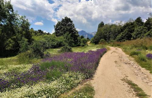 Villa Carmen del Rosal - Foto 28
