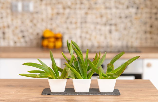 8MOONS BOUTIQUE APARTMENTS - Foto 35