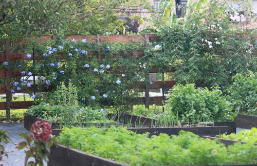 Casa dos meus avós -Villas - Gaia & Porto - Foto 52