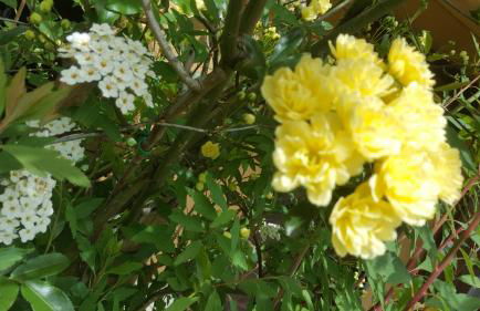 Rifugio Valentina - Foto 5